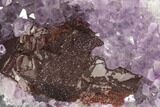 Sparkly Purple Amethyst Cluster On Wood Base - Uruguay #100189-1